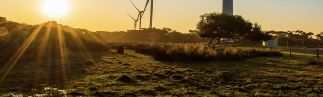 Windräder auf einer Wiese im Sonnenaufgang